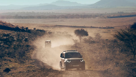 Defender riding on dense forest road