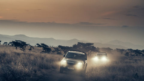 Defender riding on dense forest road