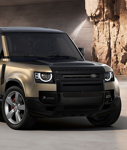 DEFENDER 110 X