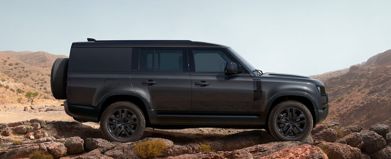 Defender on Rock