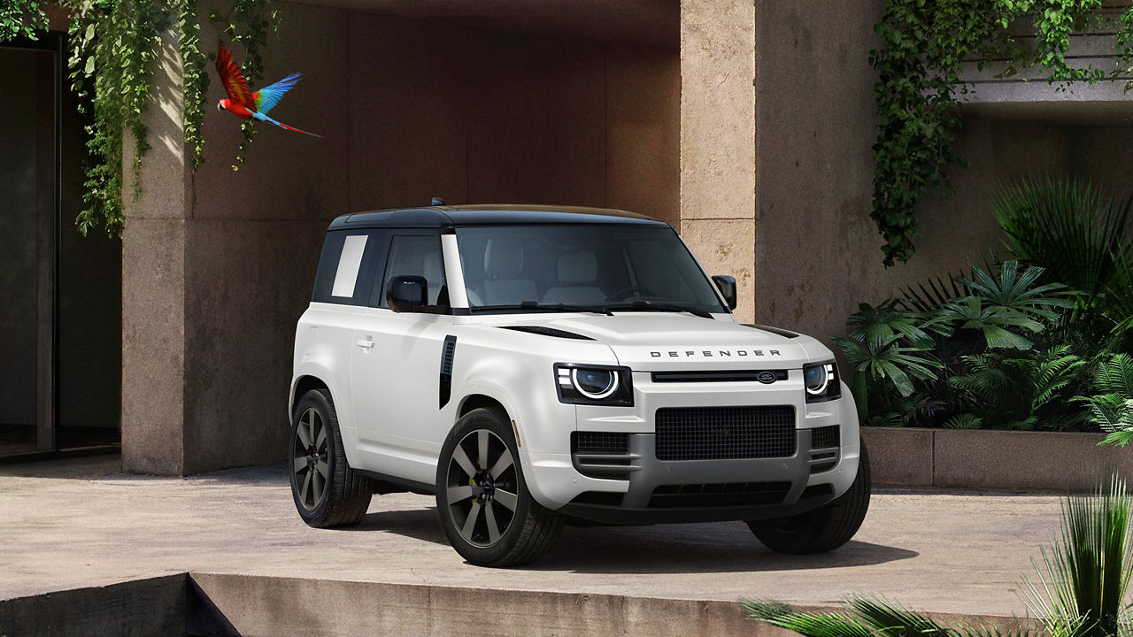 cross view of the defender