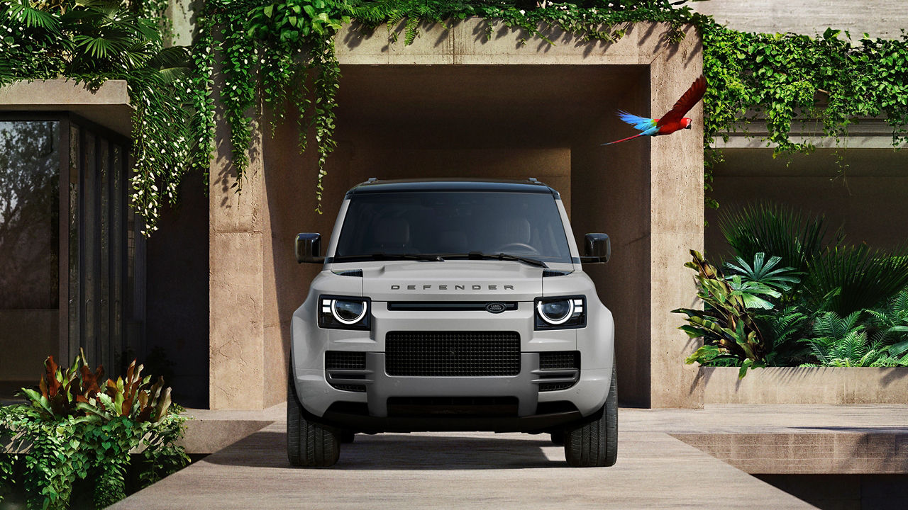 Defender front view
