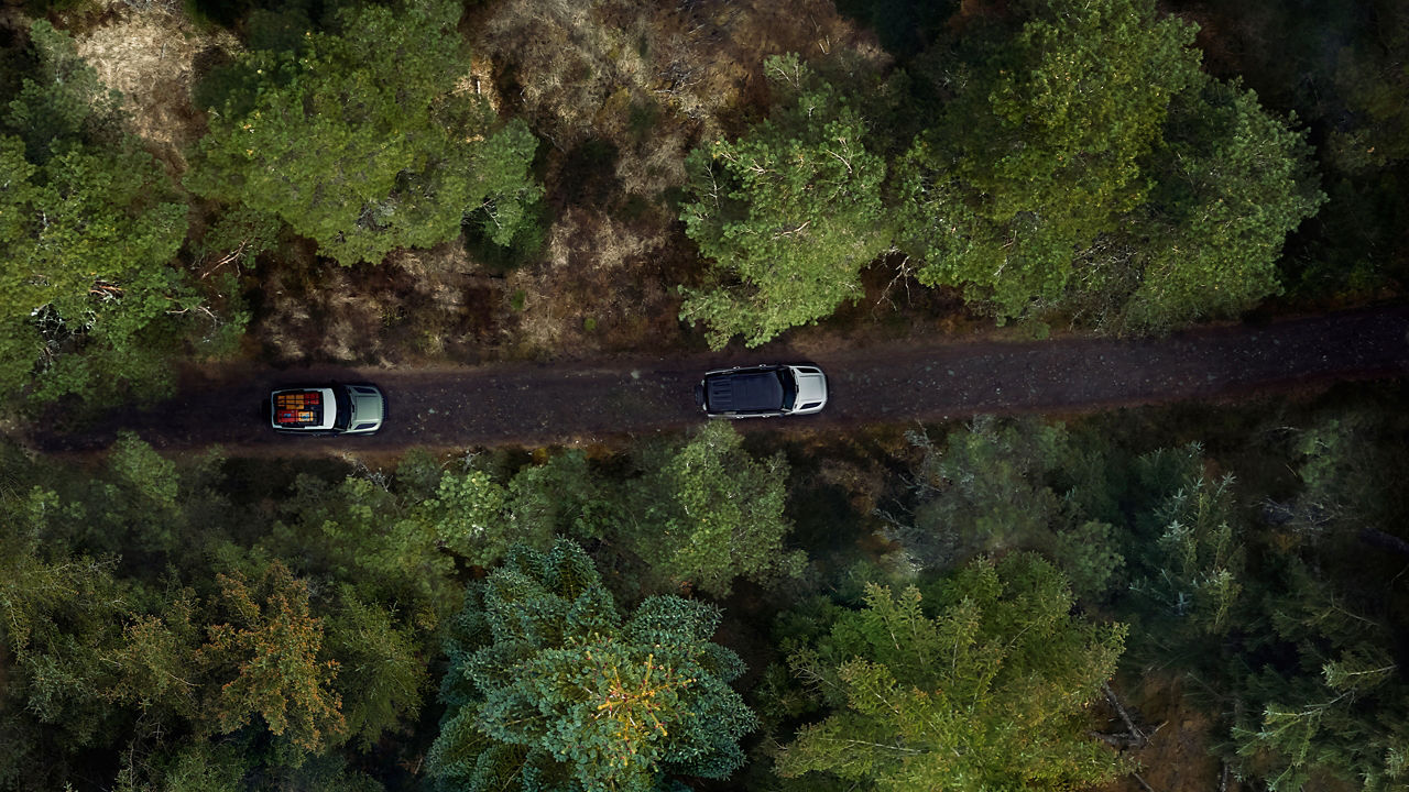 Defenders driving through forest