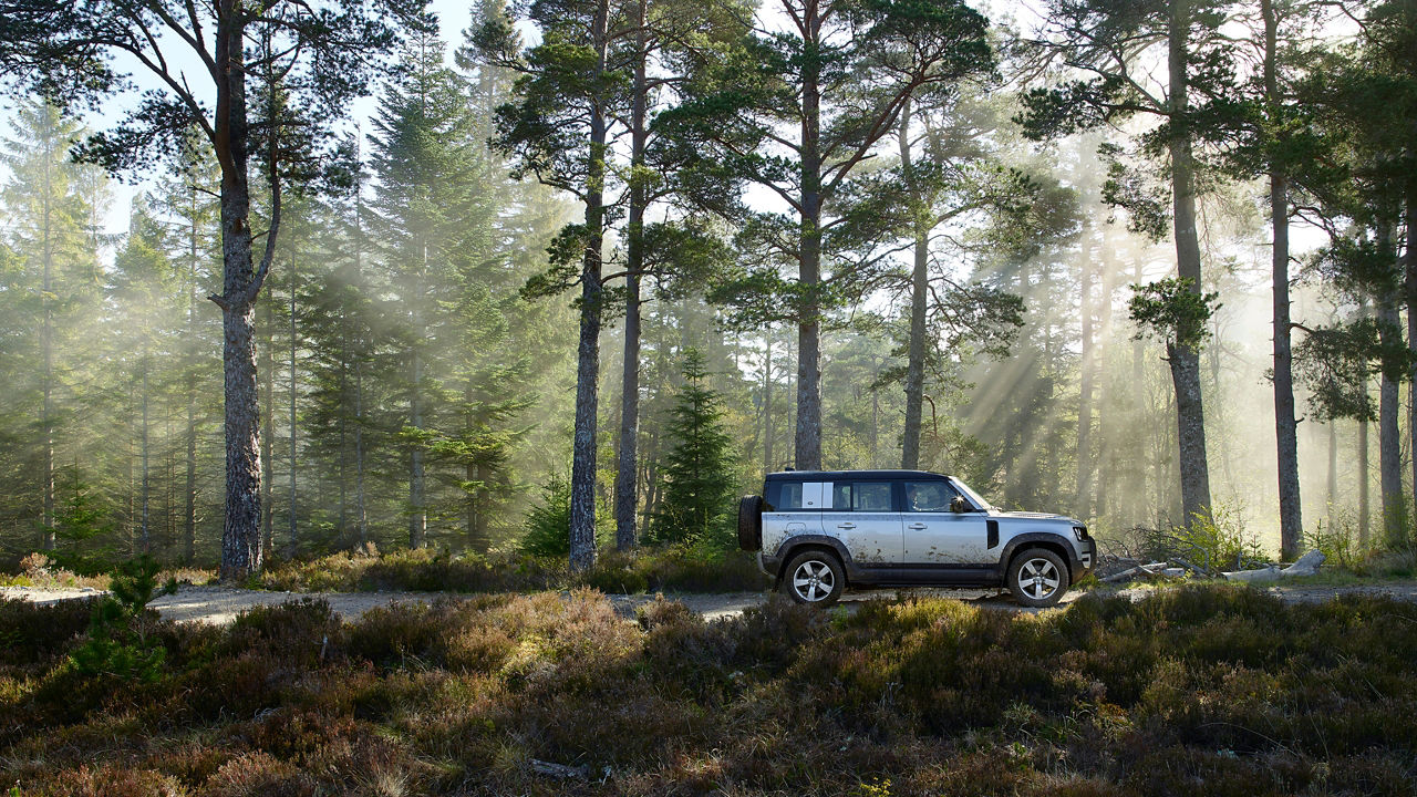 Defender in the jungle side view