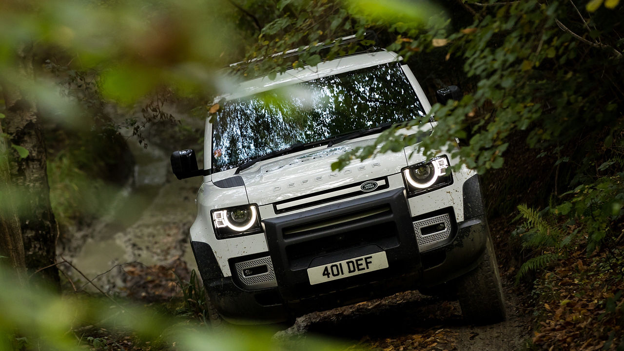 Defender Hard Top in the Forest