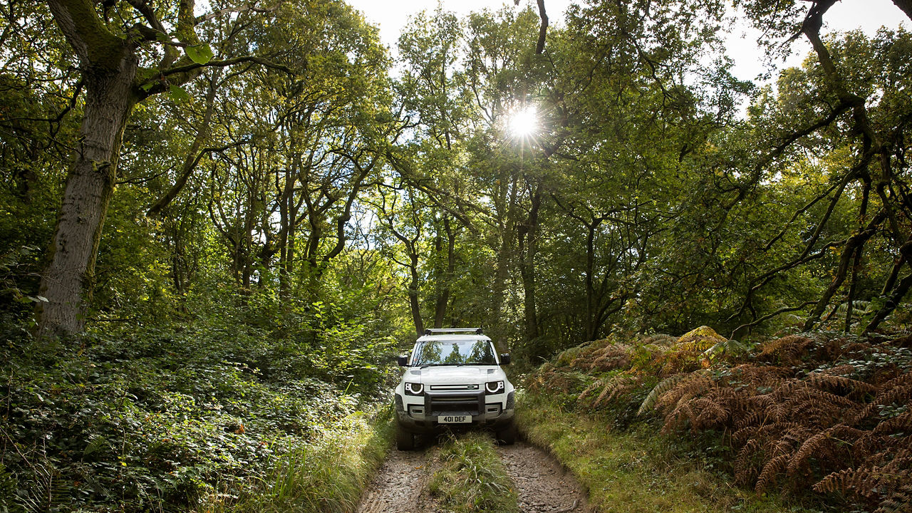 Defender moving on off-road in forest with sun light