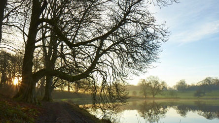 NORTH YORKSHIRE