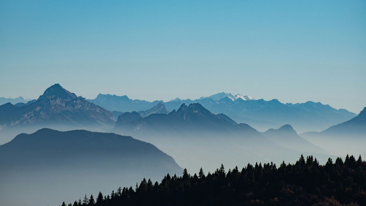 Blue mountains with mist and a forest silhouette in the foreground.