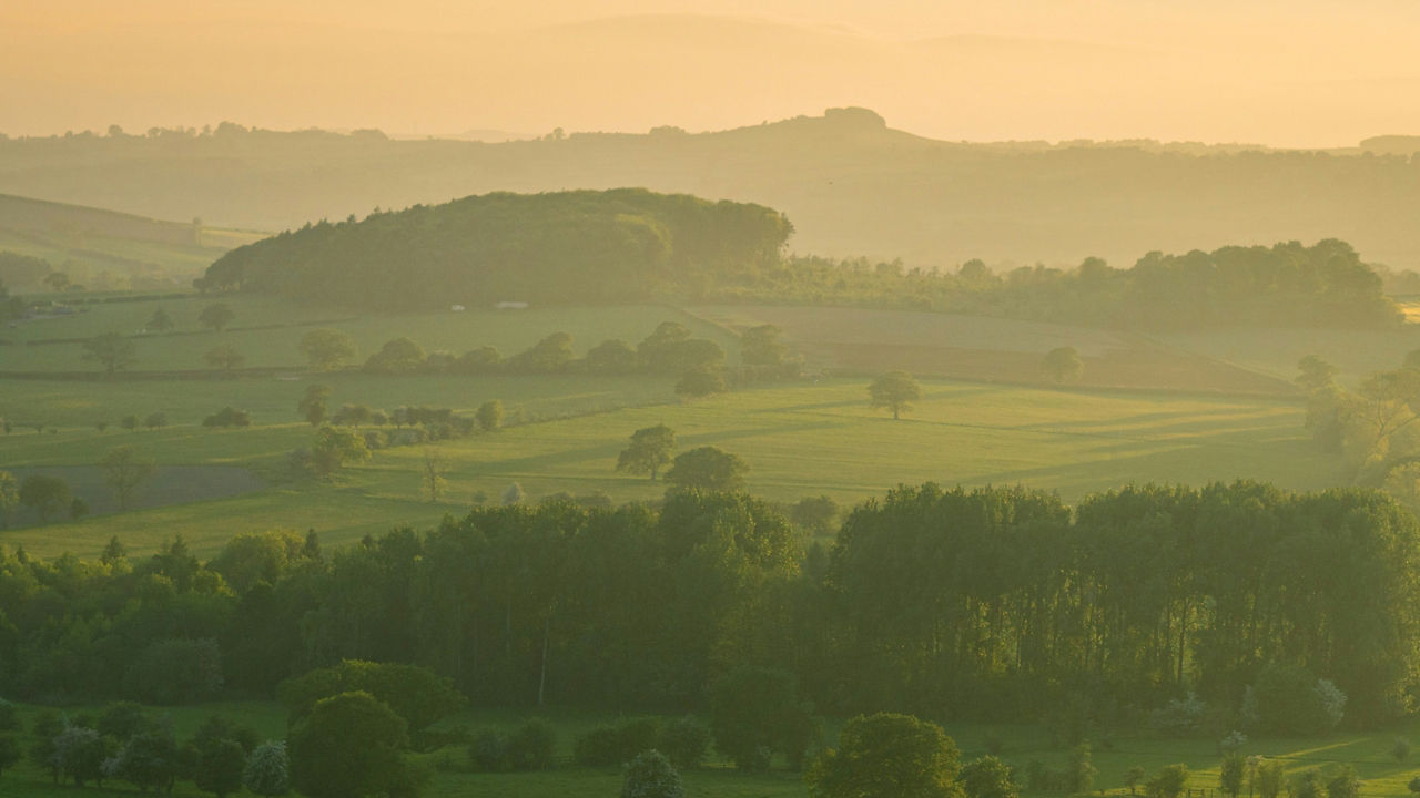 Rolling green hills and fields under a hazy yellow sky.