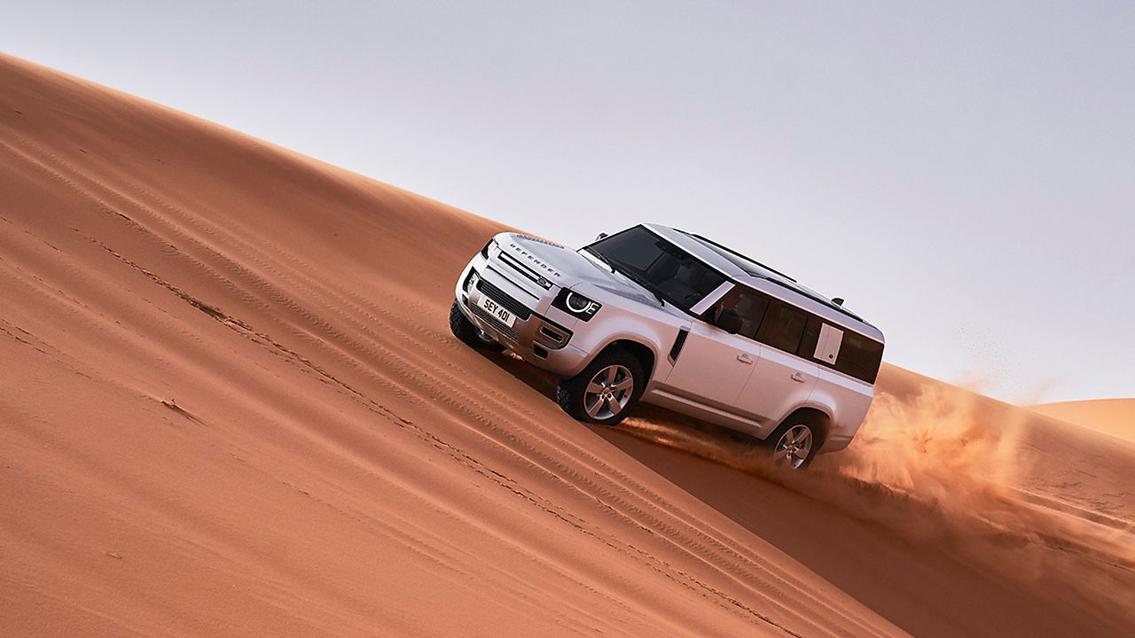 Defender on desert