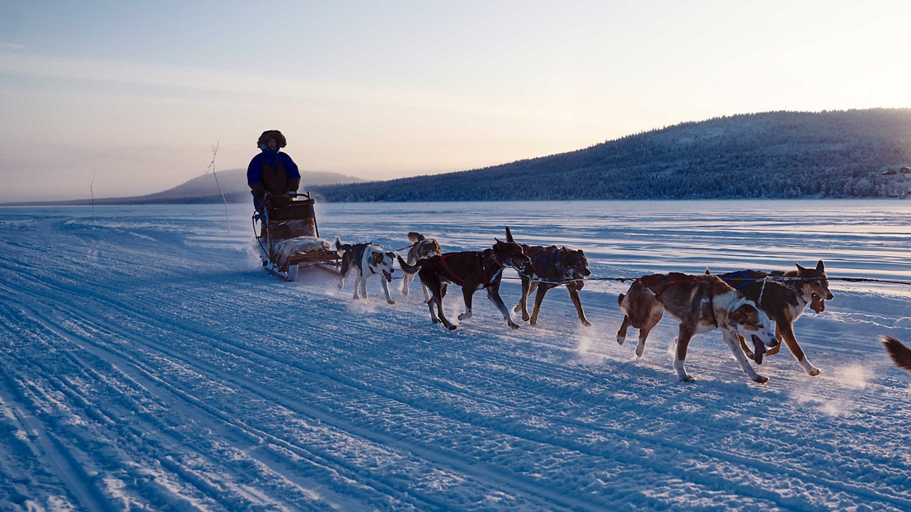 Adventure travel Lapland dog sledging on ice