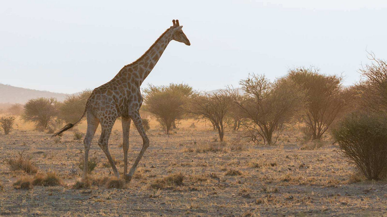 ADVENTURE TRAVEL NAMIBIA 17