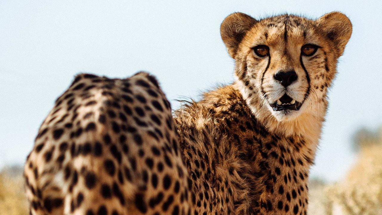 ADVENTURE TRAVEL NAMIBIA 14