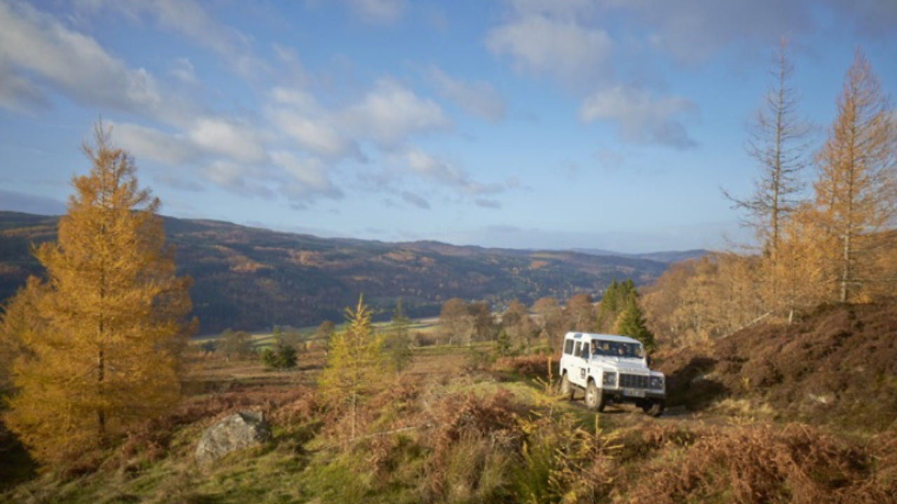 Defender moving off-road on forest hill