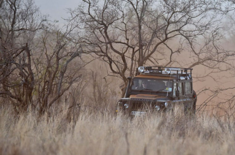Classic Land Rover driving through savannah