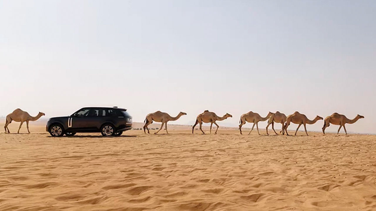 Land Rover cars