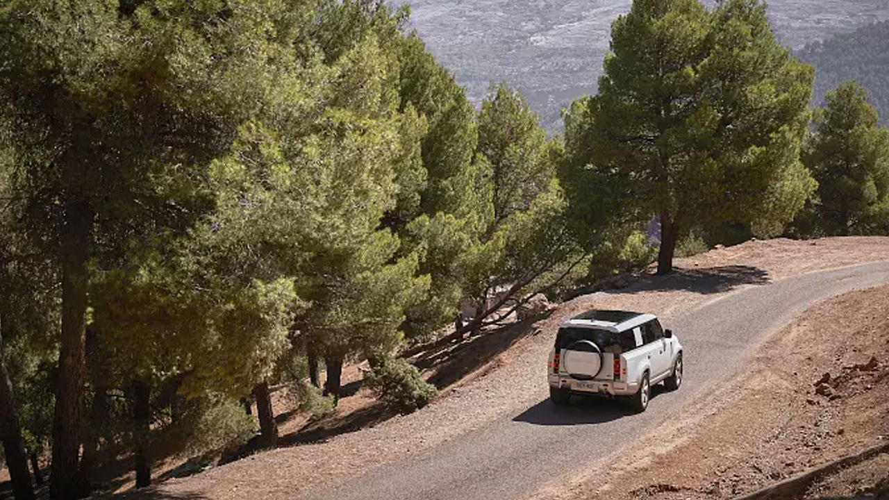 Car in Nature