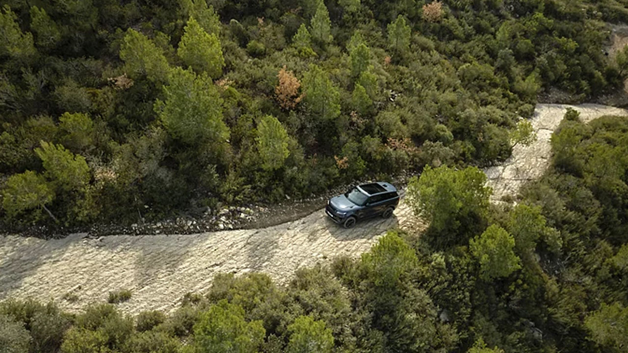 Range Rover in Forest