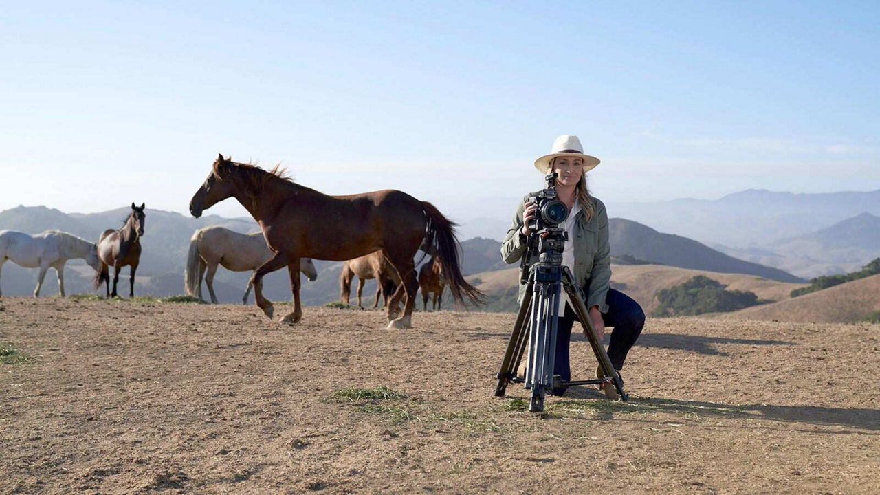 Ashley Avis and her camera in front of a field of horses.