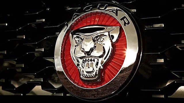 The Jaguar Logo