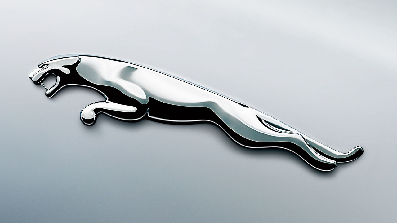 Jaguar logo badge close view