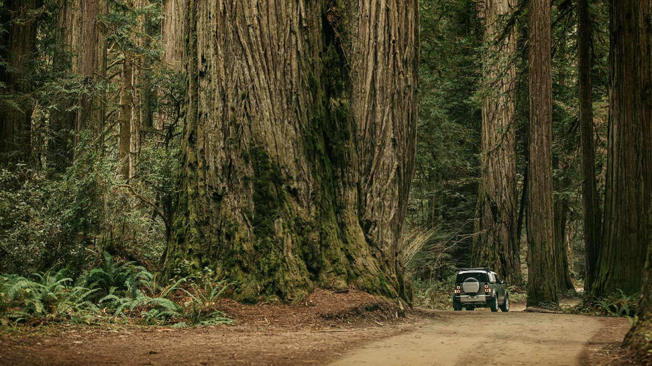 John Mayer Land Rover Defender driving in forest