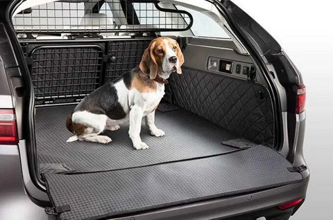 Jaguar xf dog guard best sale