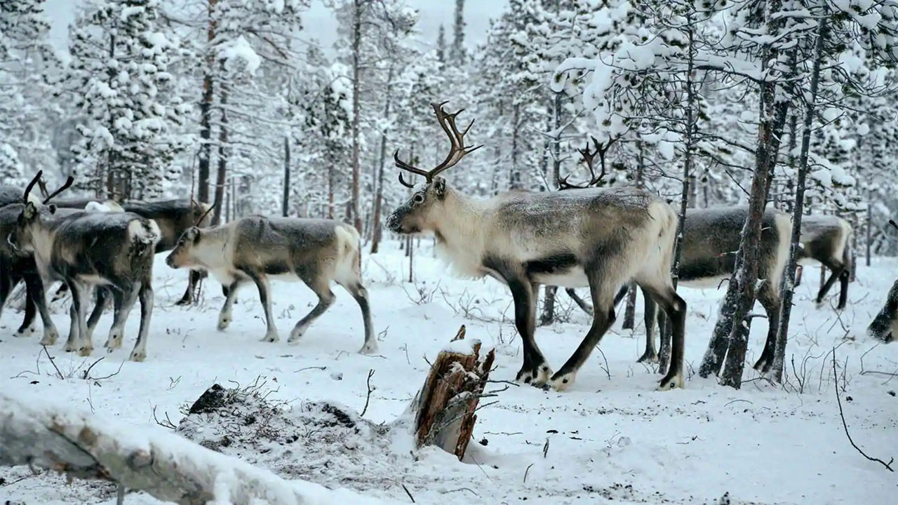 SAMI CENTRE EXPERIENCE