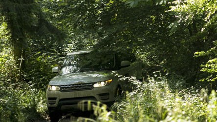 Land Rover behind bushes