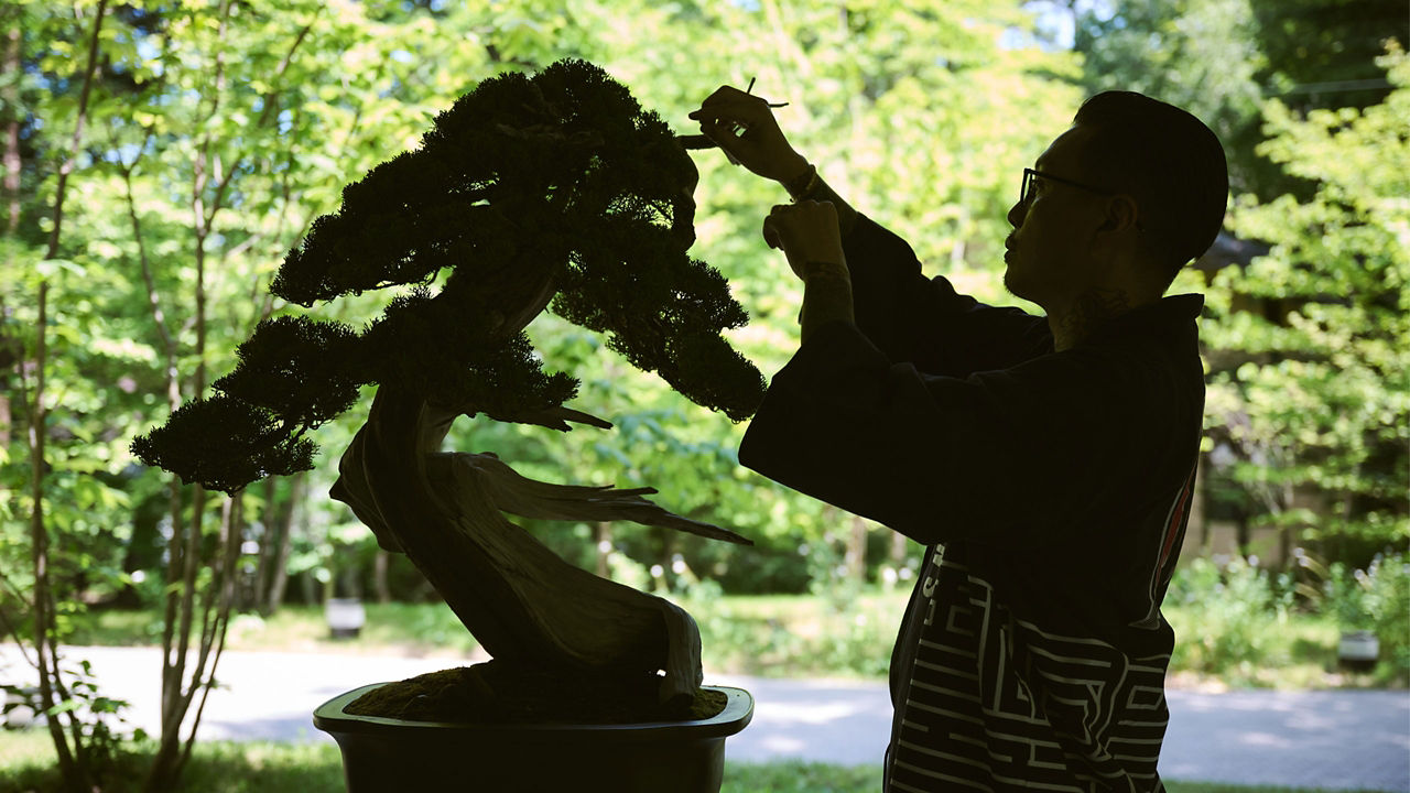 Man_Cutting_Tree