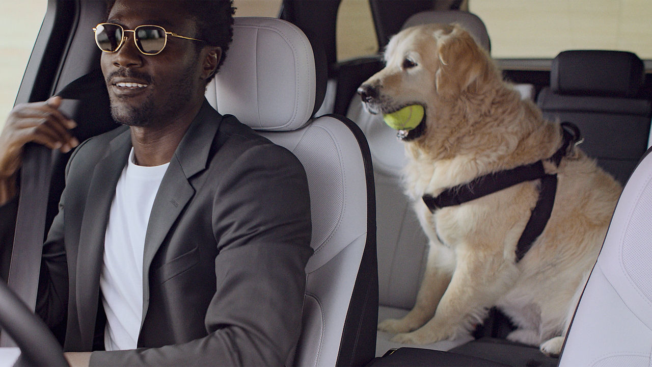 Internal image of a man sitting in the drivers seat and a dog on the rear seat