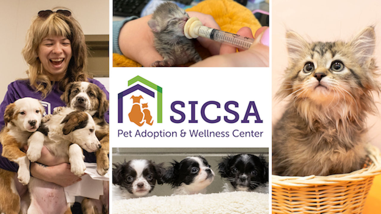 SICSA PET ADOPTION & WELLNESS CENTER