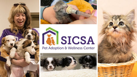 SICSA PET ADOPTION & WELLNESS CENTER