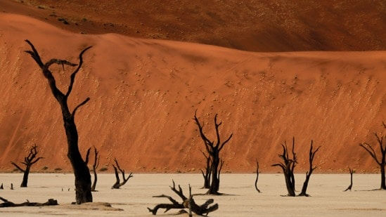 Land Rover Circuit Dans Le Nord De La Namibie Itinéraire Sur Jour 7