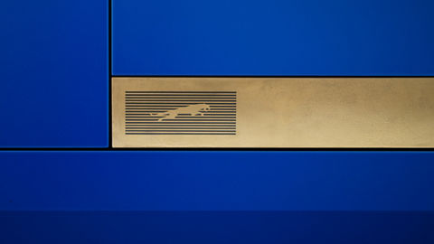 Future Jaguar Symbol