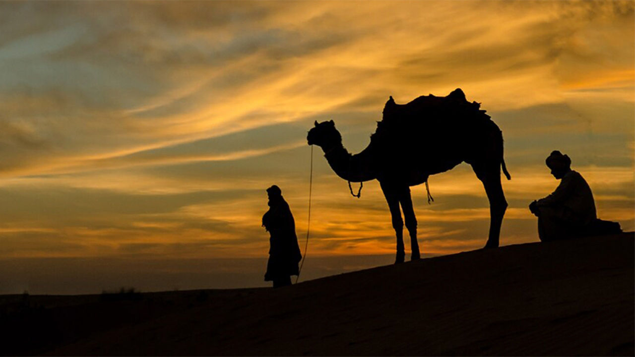 View of UAE Scenery Background with Camel