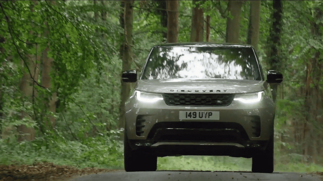 Car surrounded by beautiful trees