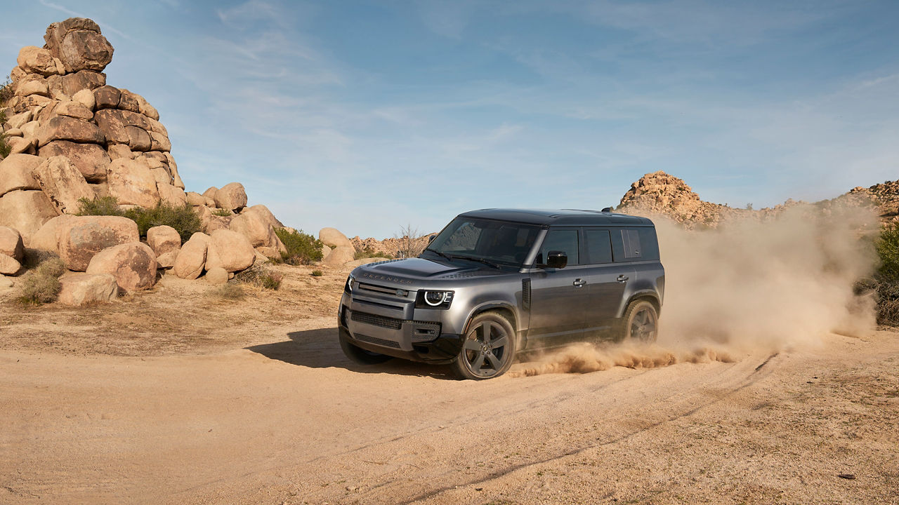 Defender in desert