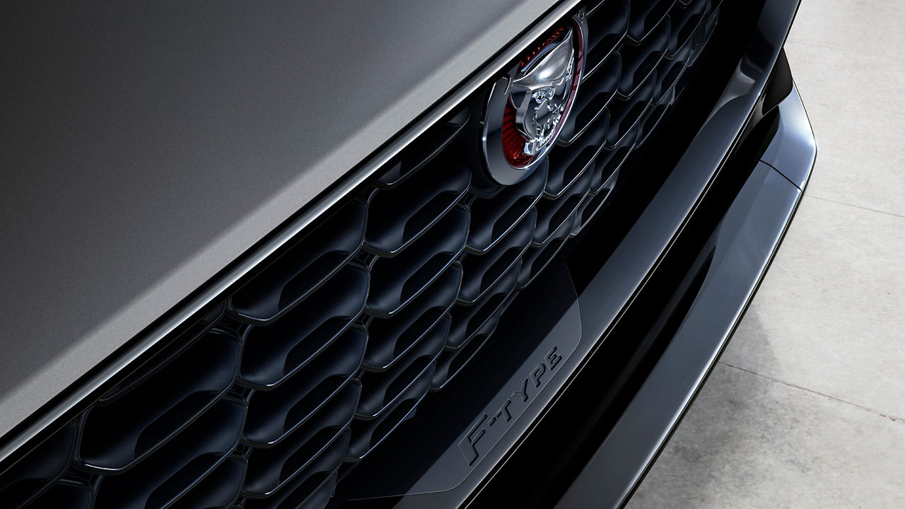 Jaguar F-TYPE  close up view of logo and grille 