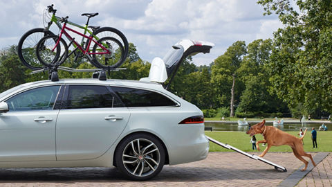 Bike Carriers Jaguar