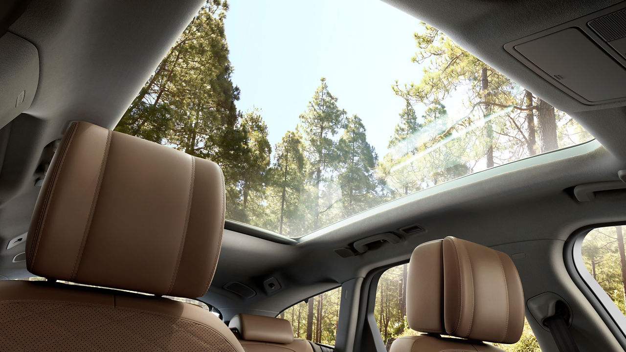 Open sunroof with the view of forest trees