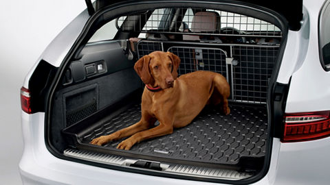 Jaguar XF Sportsbreak with pet accessories  