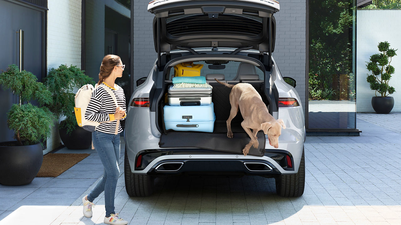 Jaguar F-Pace boot space and Pet accessory 