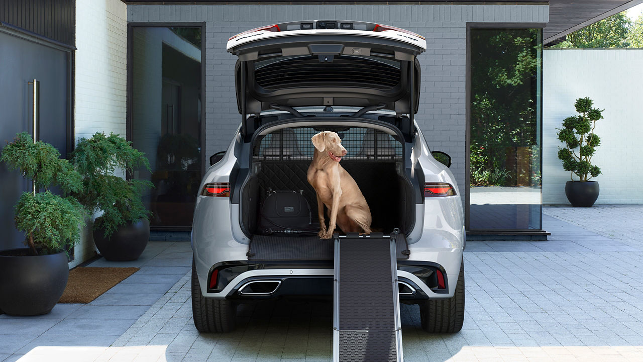 Jaguar F-Pace Pet Accessories 