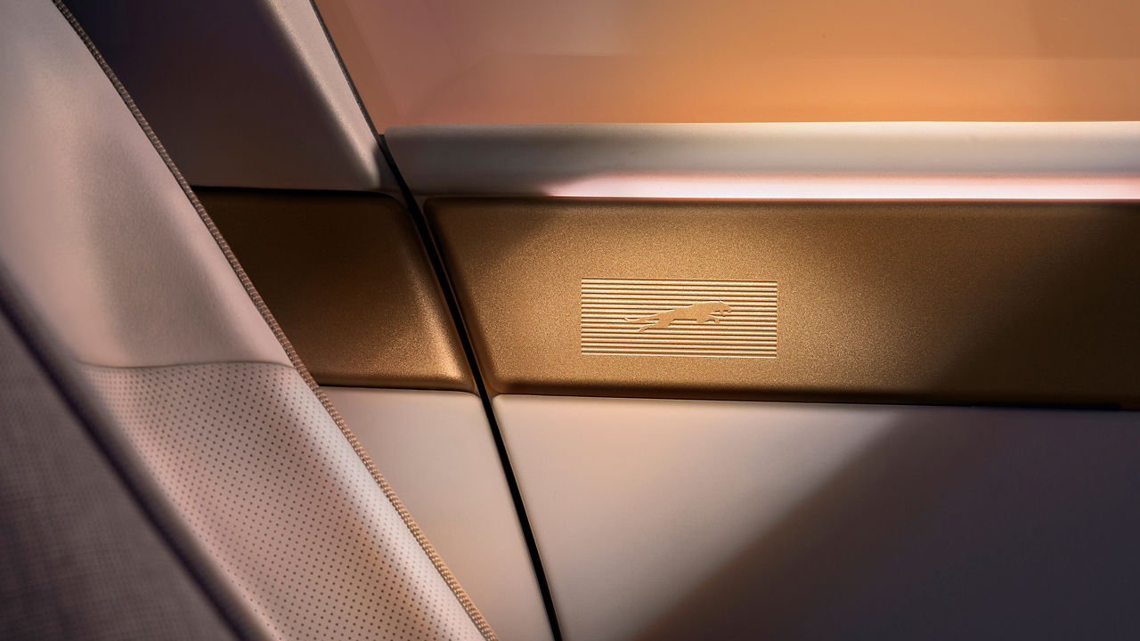 Jaguar interior door