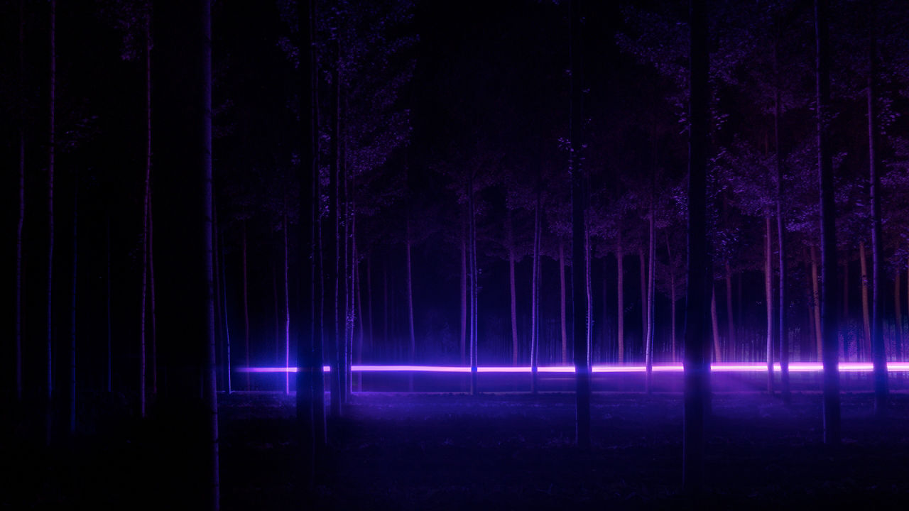 Neon effect shown in the forest 