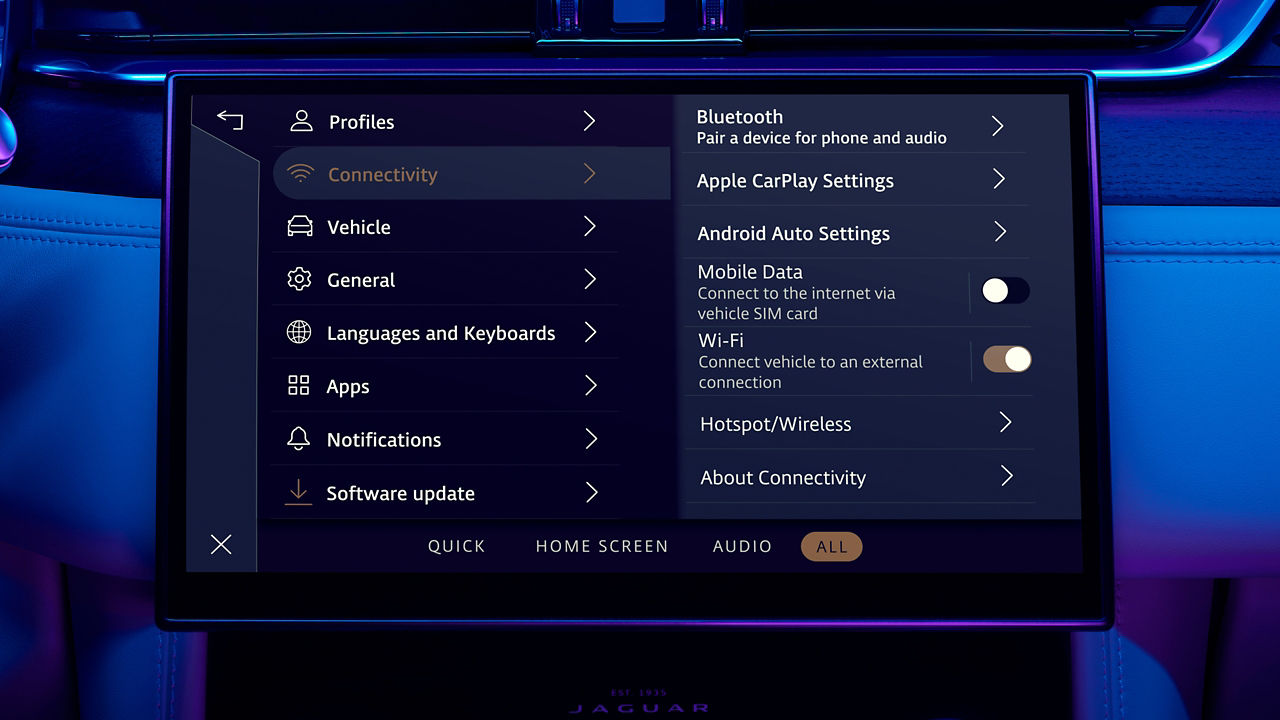 JDX car screen display