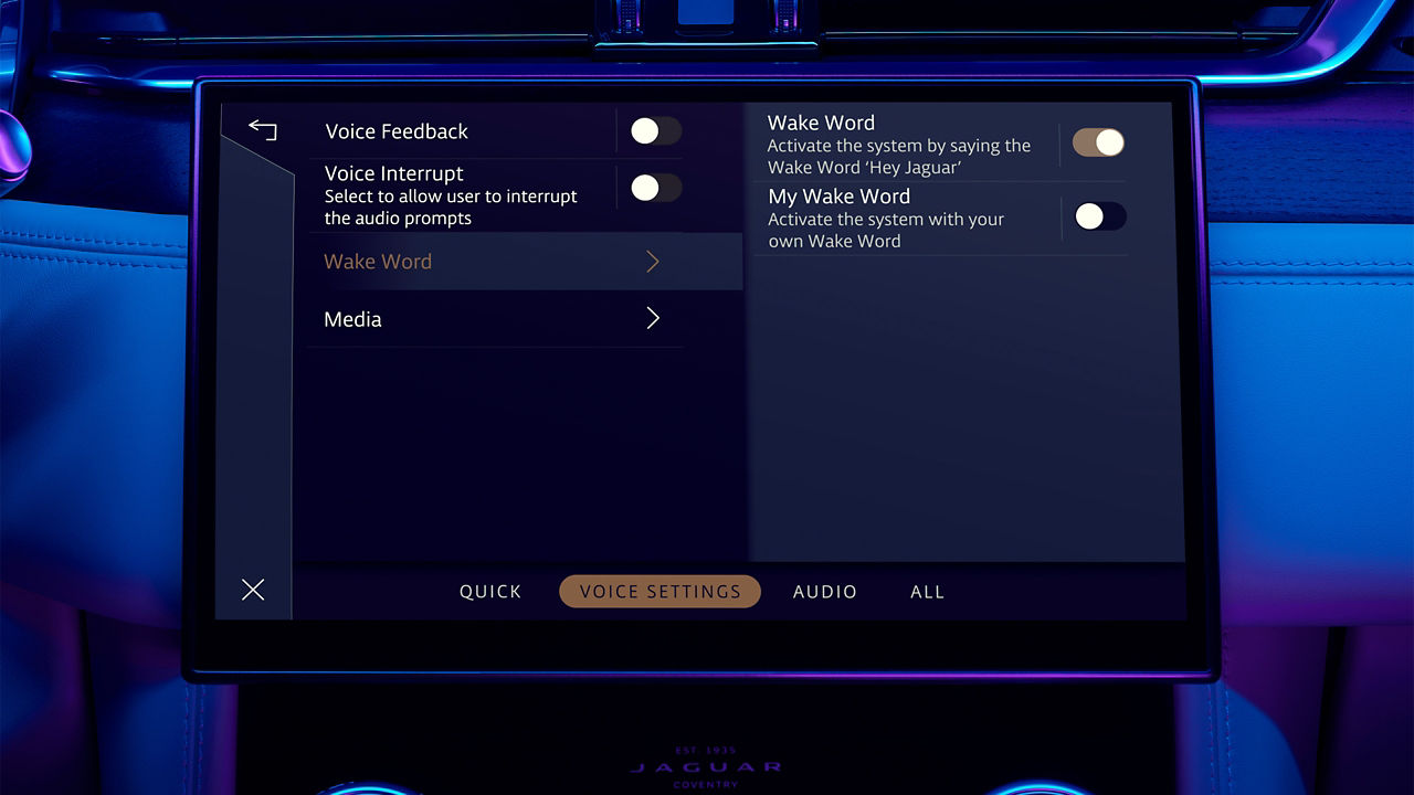 JDX car screen showing voice setting