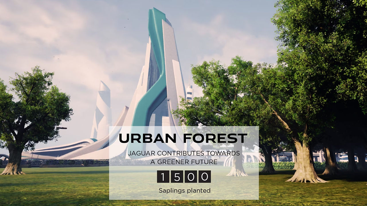 Jaguar Urban Forest