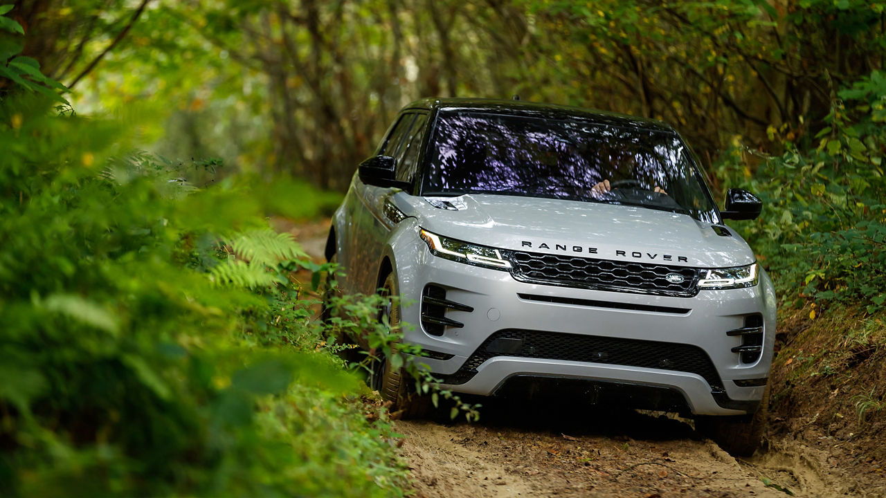 Range Rover in the forest